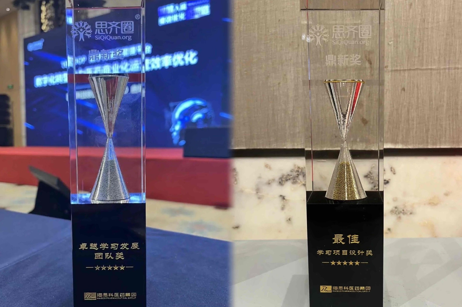 PP电子集团医药集团荣获“鼎新奖-卓越学习发展团队奖”等三项荣誉